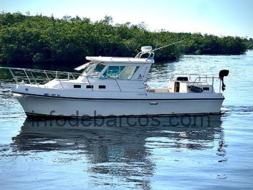 Albin 30 Family Cruiser ficha tecnica 